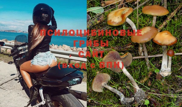 дурь Баксан